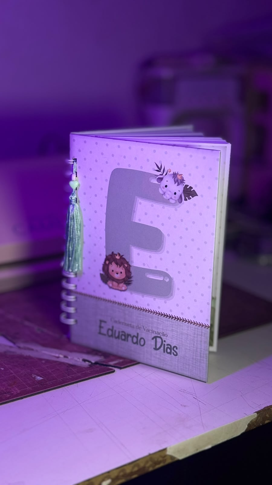 Caderneta personalizada infantil feita pelo Ateliê Marycota